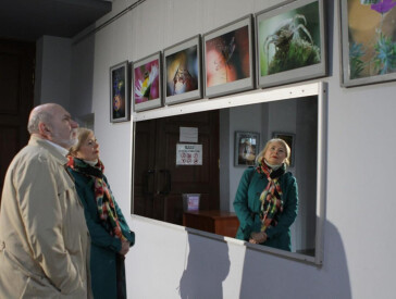 Фотовиставка «В лабіринтах макросвіту»