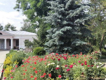 Квіткова симфонія в музеї Короленка