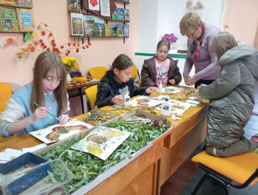 Сова – чарівна птаха з казки