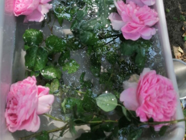 Оздоровчий ретрит "Мандрівка до себе" в музеї В.Г. Короленка