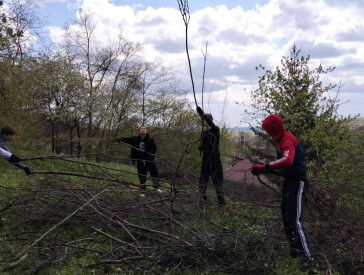 Толока на садибі В.Г.Короленка