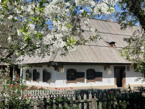 Тематична екскурсія «Квітами багата Україна-мати» в рамках благодійної ініціативи на садибі І.Котляревського