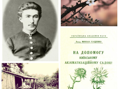 Микола Кащенко: «Мрію, щоб біля кожної селянської хати безбоязно ріс персик»