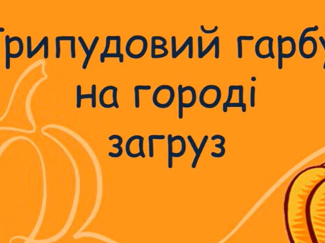 Трипудовий гарбуз на городі загруз
