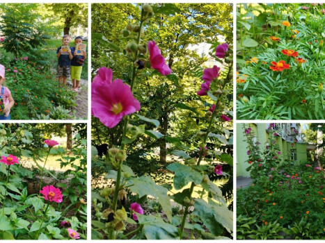 Квіти – усмішка природи