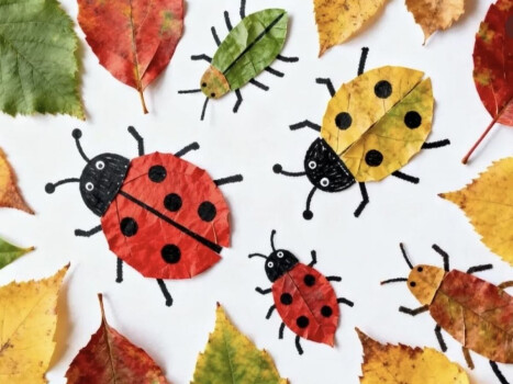 Майстер-клас «Чарівний світ комах» у бібліотеці-філії №6