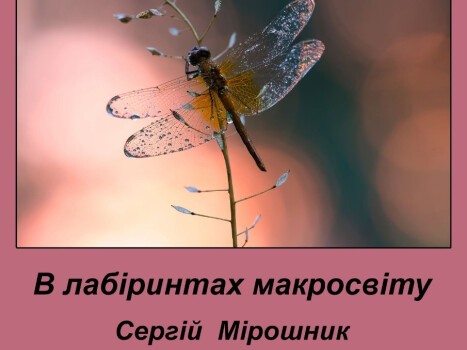«В лабіринтах макросвіту»