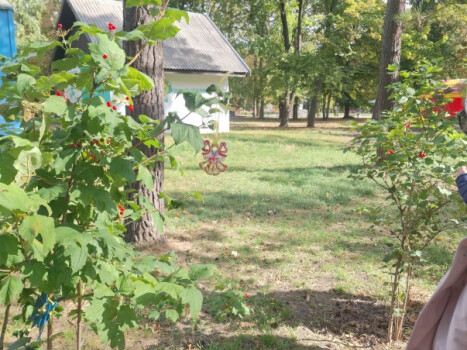 Маленькі символи великої вдячності: майстер-клас у парку культури та відпочинку "Перемога"