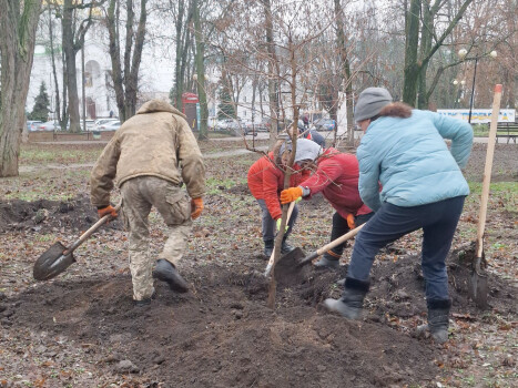Нові дерева в парку "Перемога"
